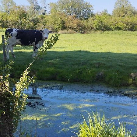 Charmante Maison De Campagne, Avec Jardin, Vue Riviere, 15 Min Cabourg Basseneville Esterno foto