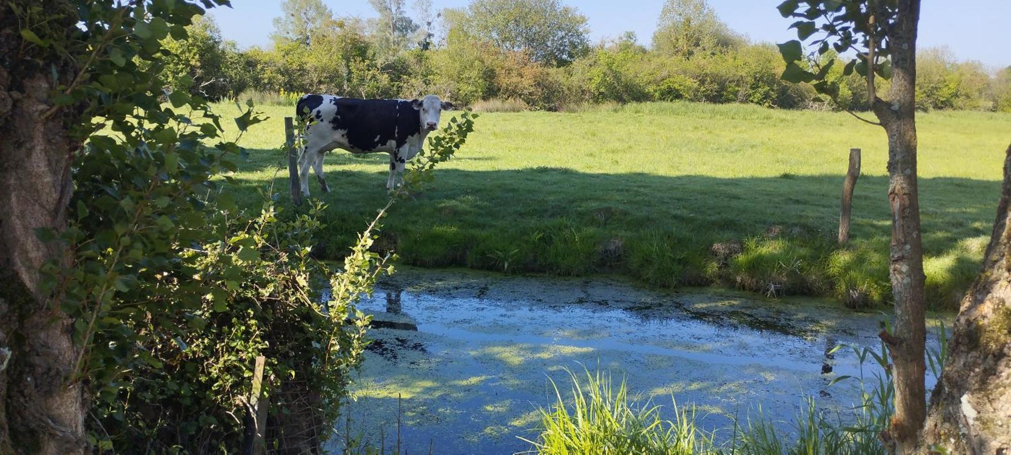 Charmante Maison De Campagne, Avec Jardin, Vue Riviere, 15 Min Cabourg Basseneville Esterno foto